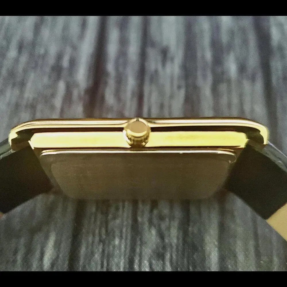 Authentic Pierre Lucerne Seiko‎ Y120 SQ Mens Tank Dress Watch